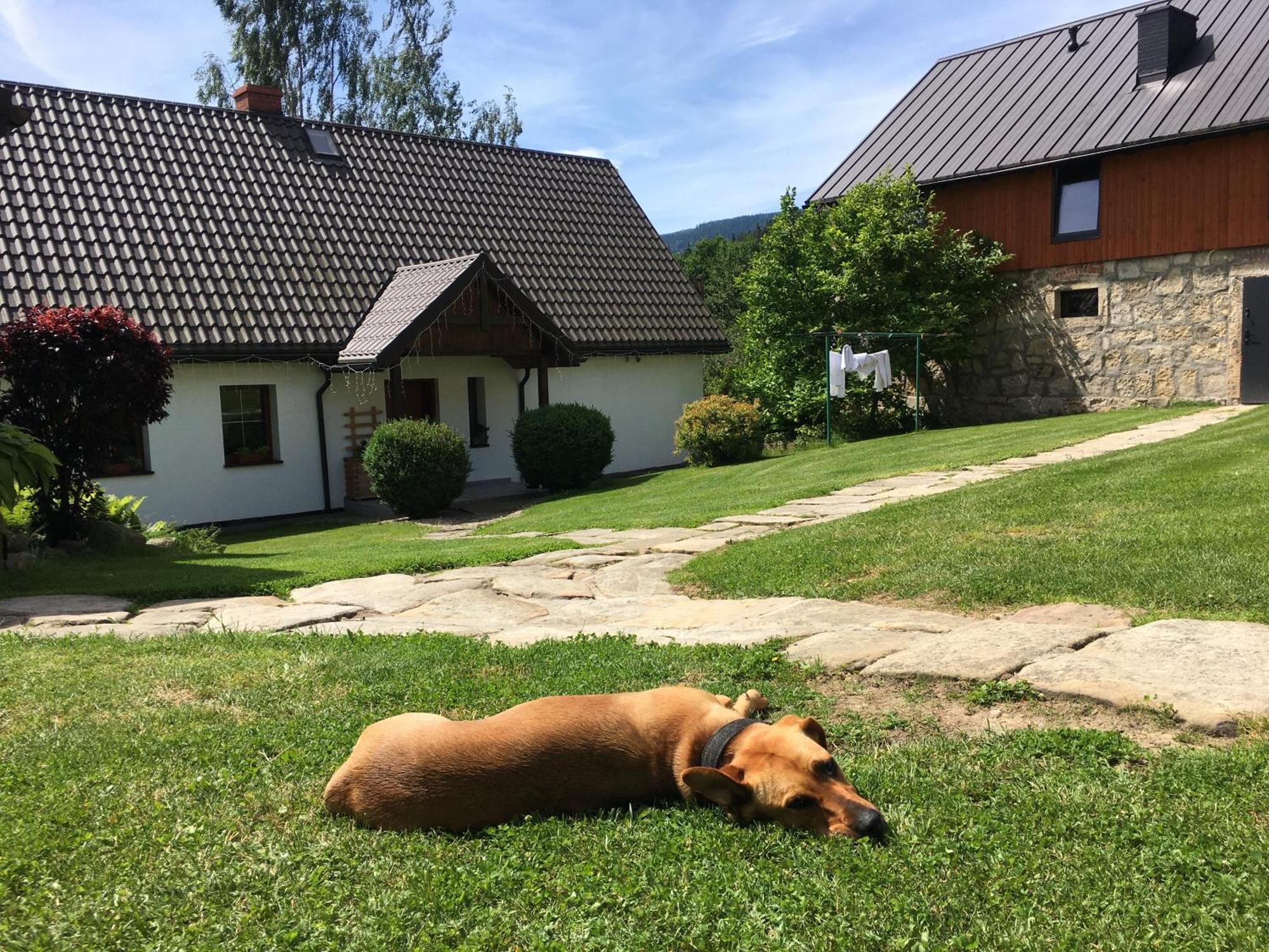Agroturystyka Ostoja Polanica-Zdroj Dış mekan fotoğraf